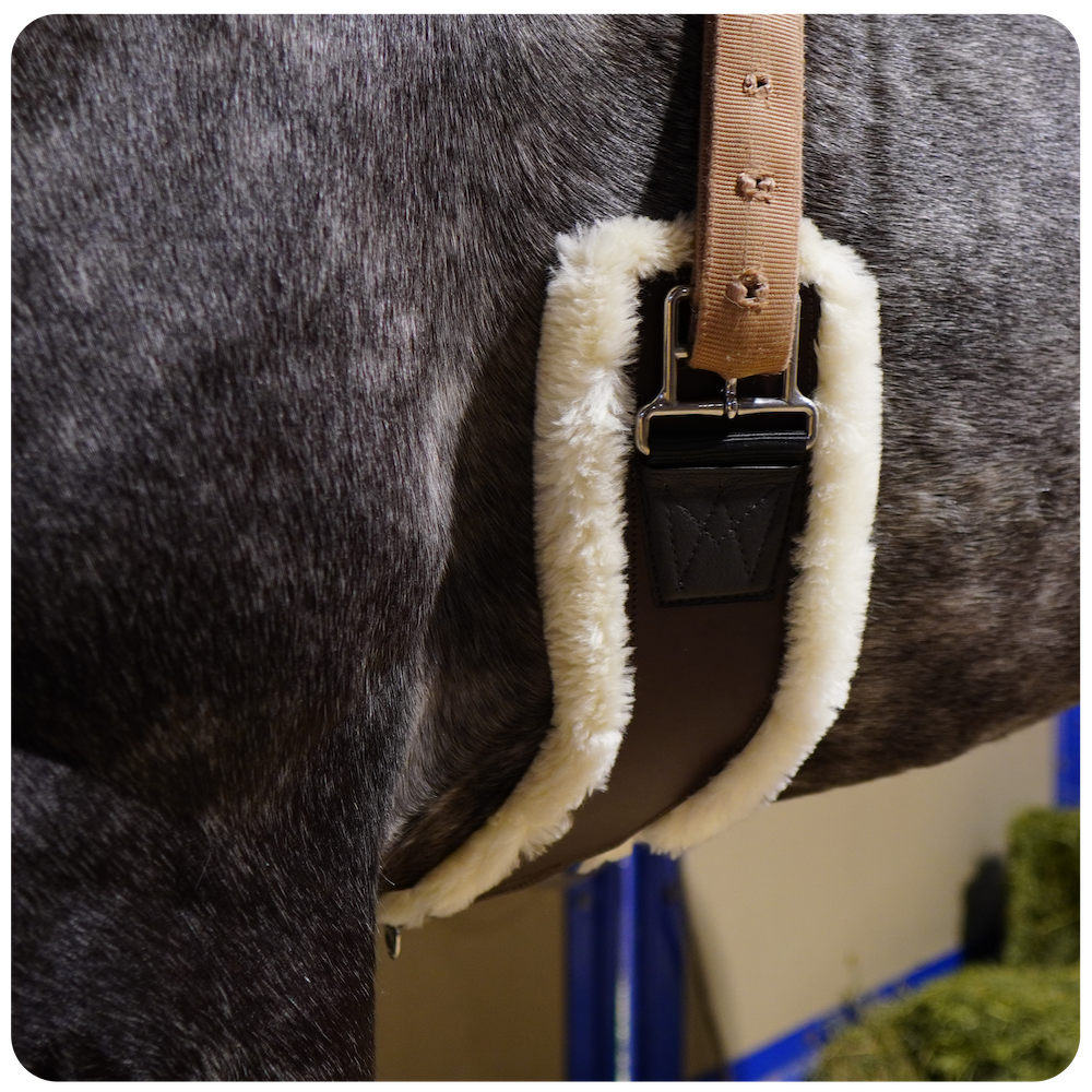 Shoulder Relief Cinch Explained Total Saddle Fit